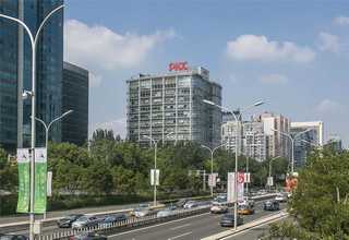 绿色纸浆模塑报价