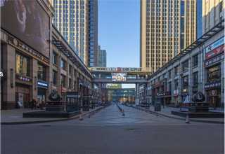 上海德国臻旺小猪莫斯卡托甜白起泡酒厂家供应