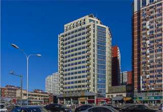 南京养殖茶树菇干货贴牌加工